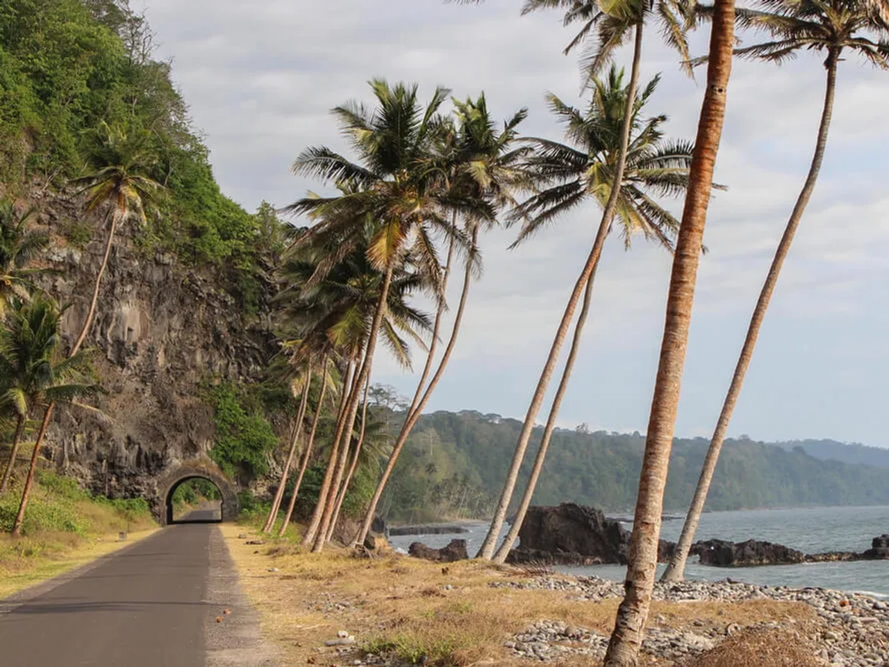 palmeias na estrada da gruta de sao tome e principe