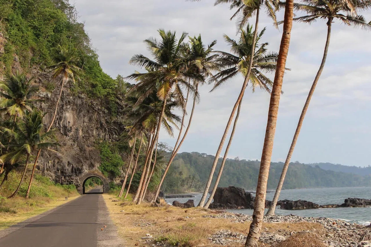 palmeias na estrada da gruta de sao tome e principe
