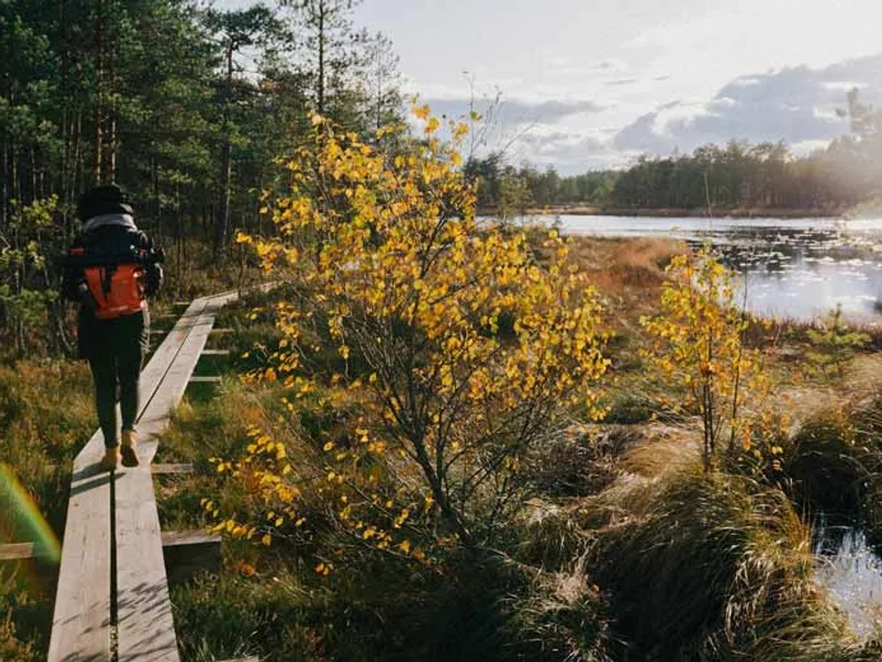trekking por Estonia