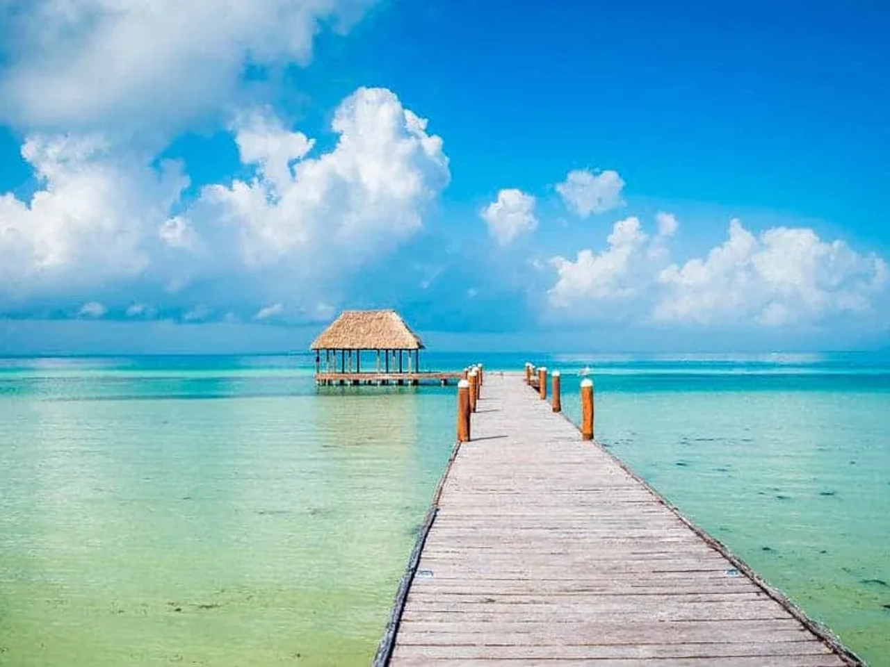 Punta Mosquito no México