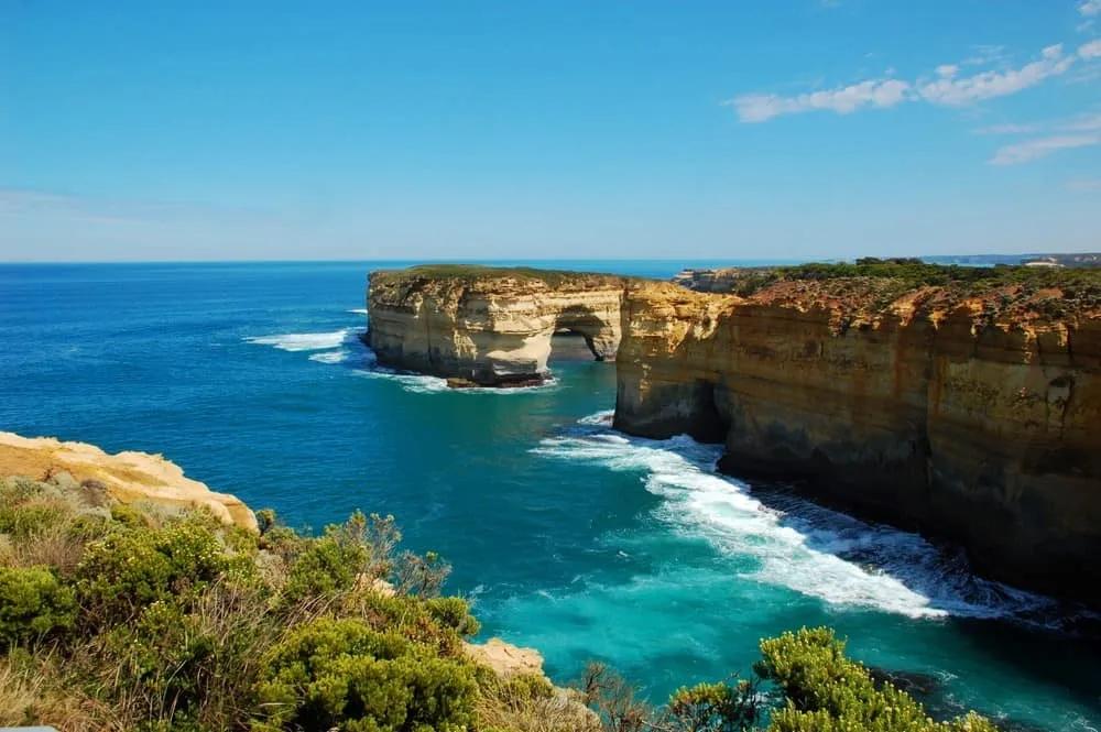 ver ballenas desde Teddy Lookout