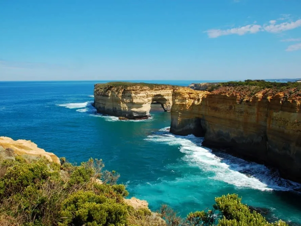 ver ballenas desde Teddy Lookout