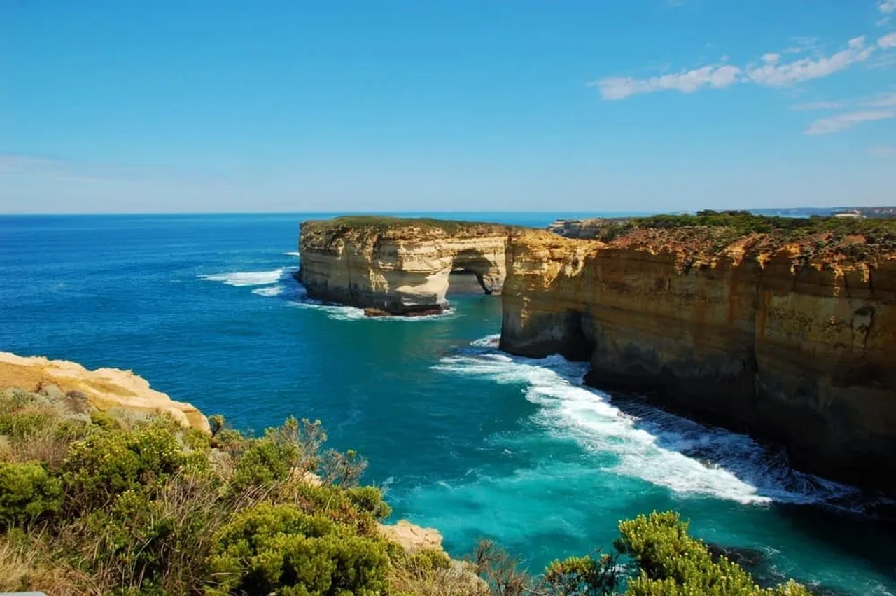 ver ballenas desde Teddy Lookout