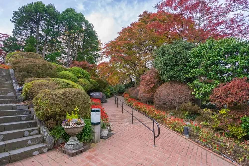 Jardines de Hakone Gora Park