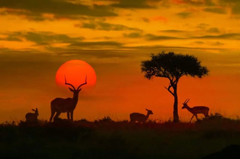 Roteiro de viagem de 15 dias pela África do Sul