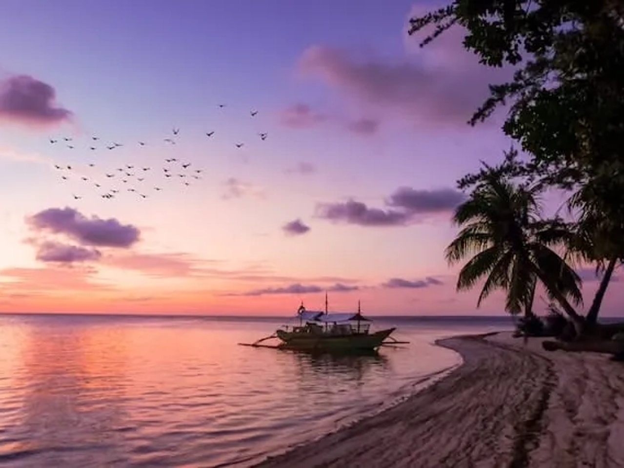 boat near palmtree in Balabac, Philippines