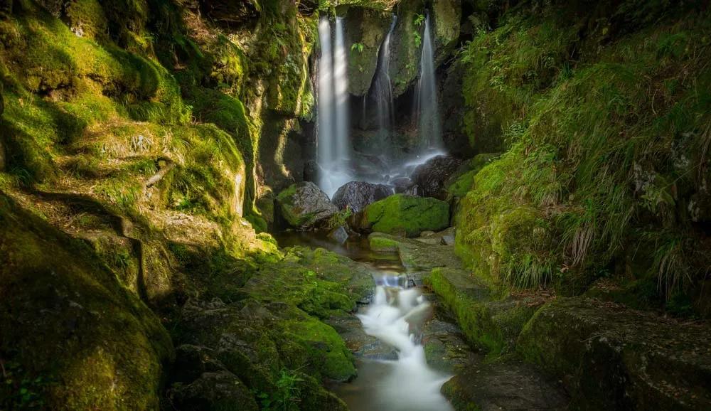 mejore seguro para Alemania