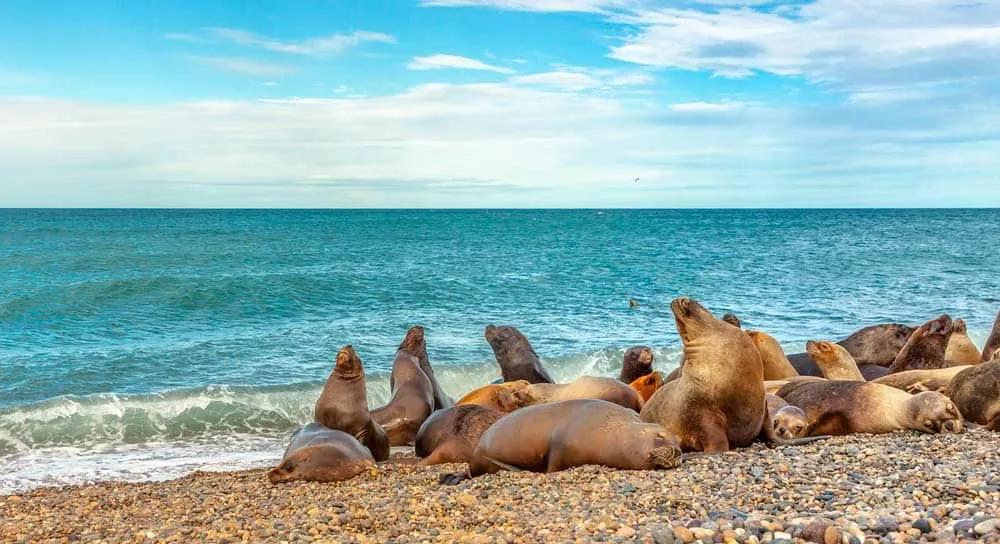 seguridad en Argentina