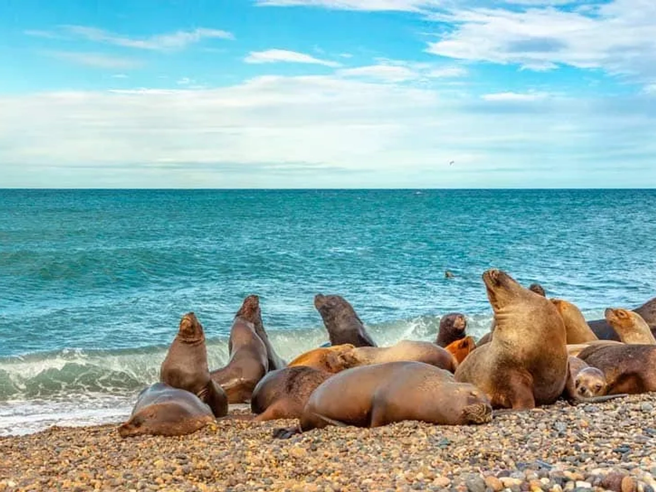 seguridad en Argentina