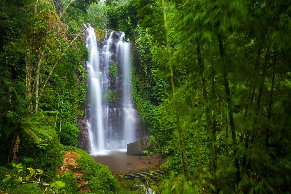 floresta e a cascata munduk em bali