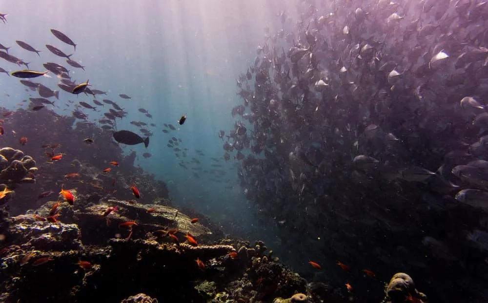 Qué llevar en un viaje a Malasia