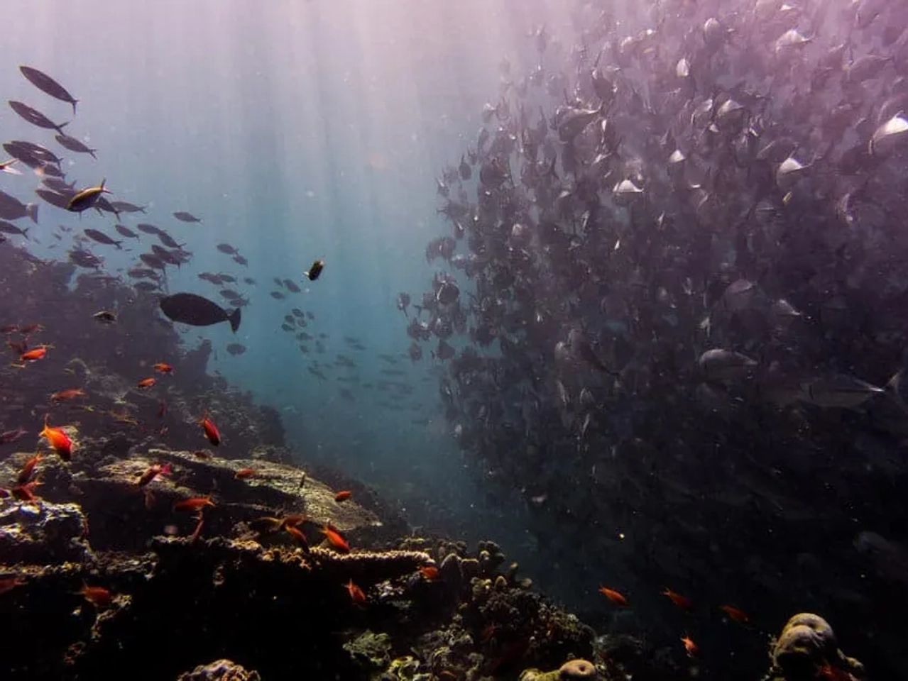 Qué llevar en un viaje a Malasia