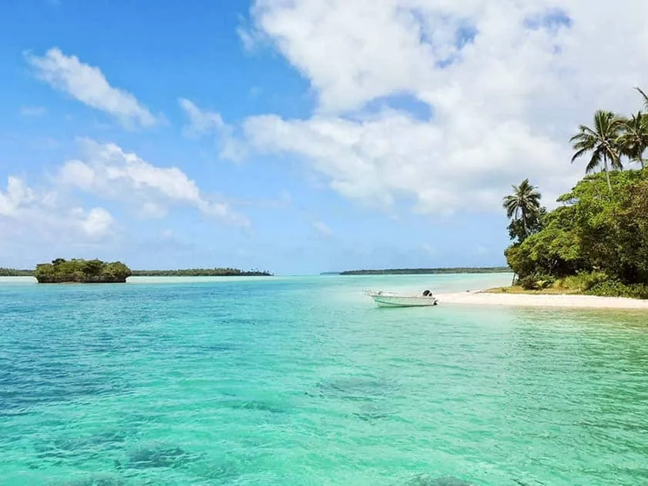 Países sin restricciones covid en América