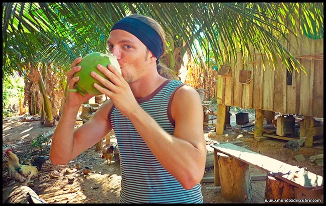 CampodetrabajoBrasil2010(Agosto)416