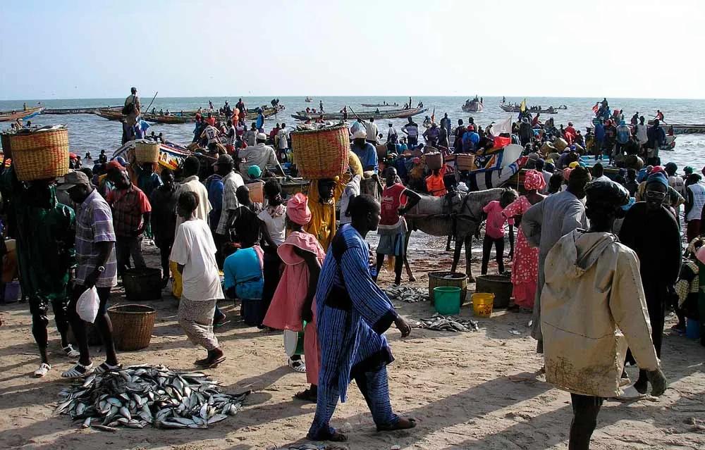 mejor seguro para viajar a Senegal
