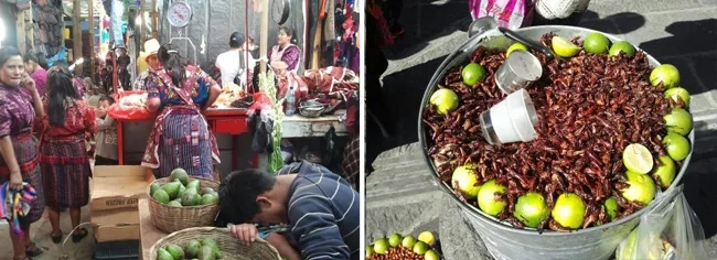comida del mundo