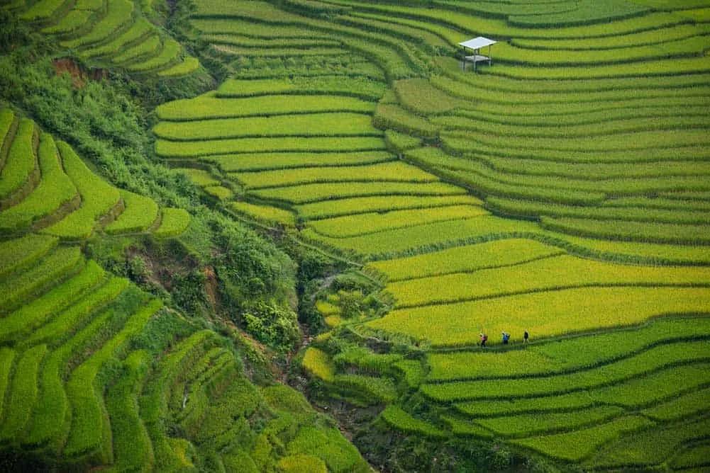 asegurar trekking en Vietnam