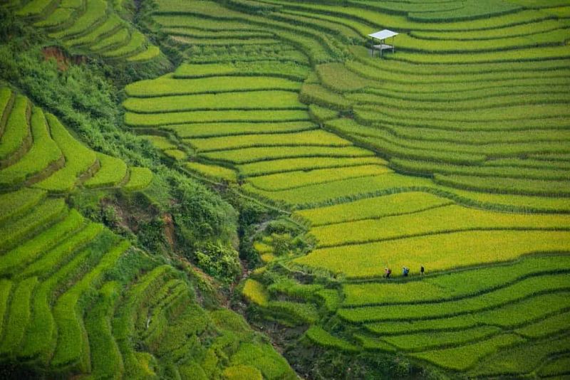 Seguro de viaje a Vietnam