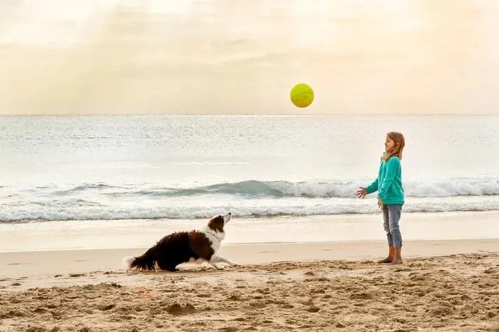playa para mascotas
