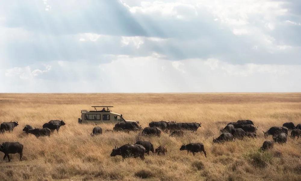 Tanzania en julio
