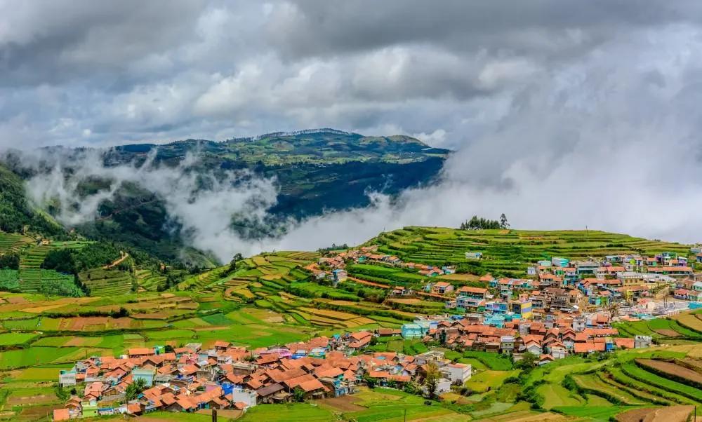 Trekking en Nilgiris, India