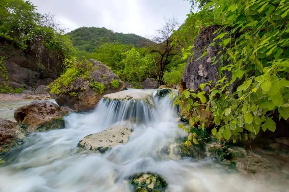 Salalah en tu itinerario por Omán