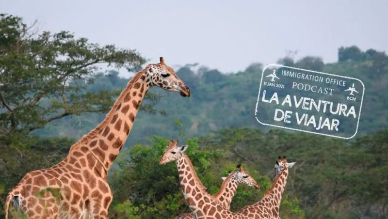 Cómo hacer turismo responsable con los animales, con Andrea Torres. Podcast #3.
