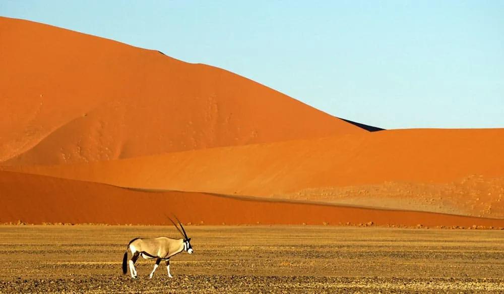 dónde viajar este verano