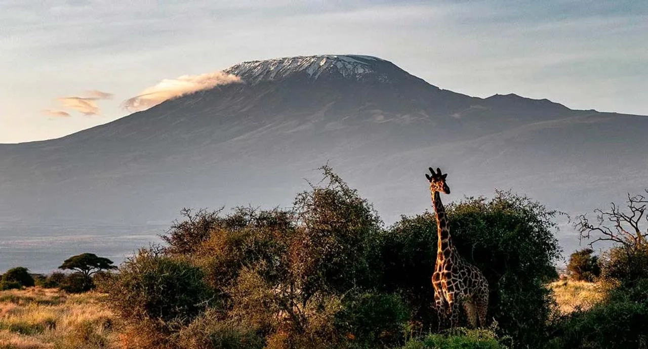 documentos para viajar a Kenia