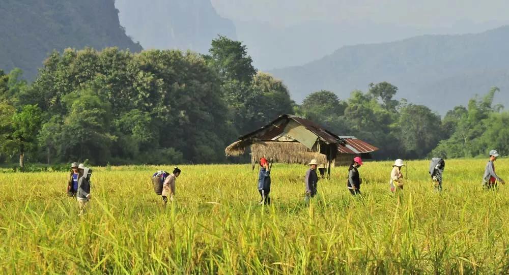 Qué ver y Qué hacer en Vang Vieng