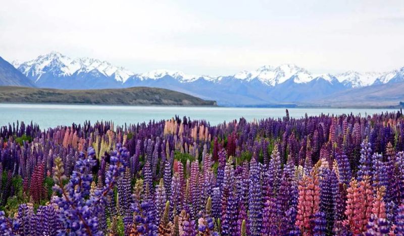 Qué se necesita para viajar a Nueva Zelanda desde España en 2025