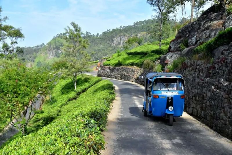 Alquilar un tuk tuk en Sri Lanka, la mejor forma de recorrer el país