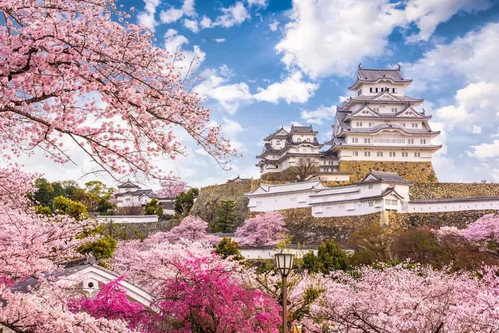 Castillo de Himeji en ruta por Japón de 15 días