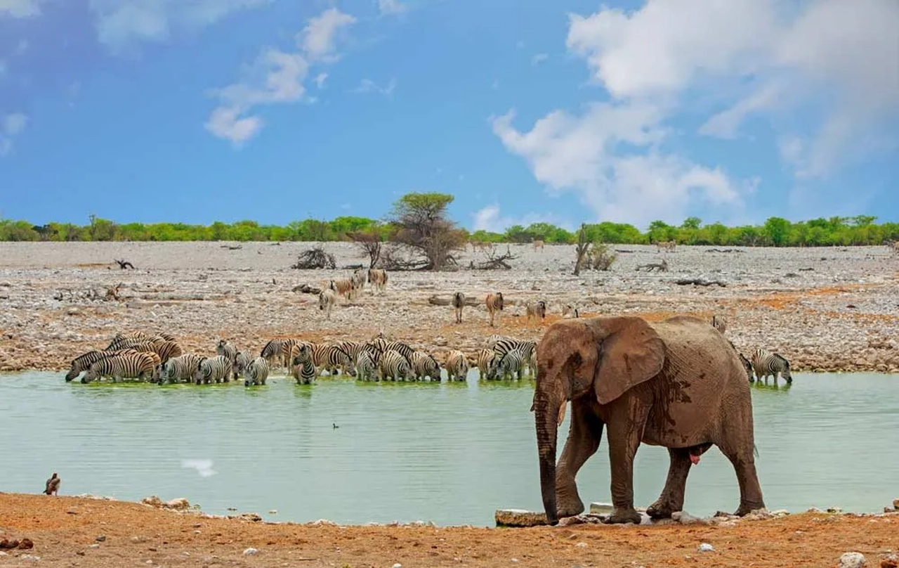 safari por Angola