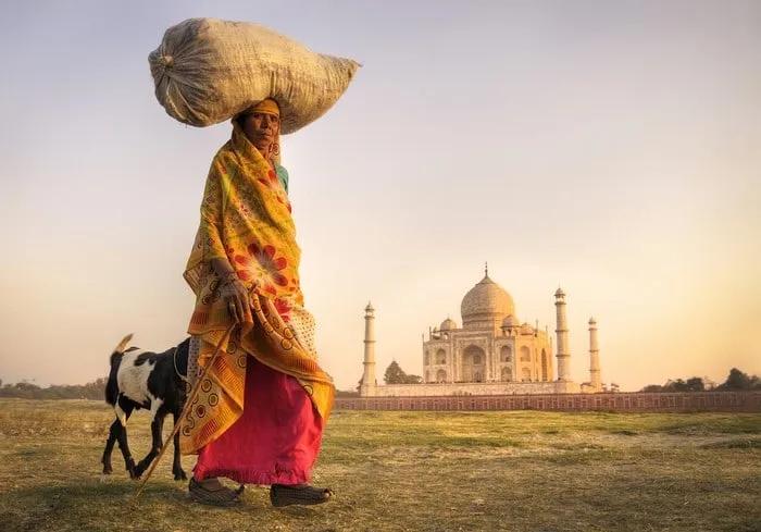 Hombre con carga sobre la cabeza camina frente al Taj Mahal al amanecer.