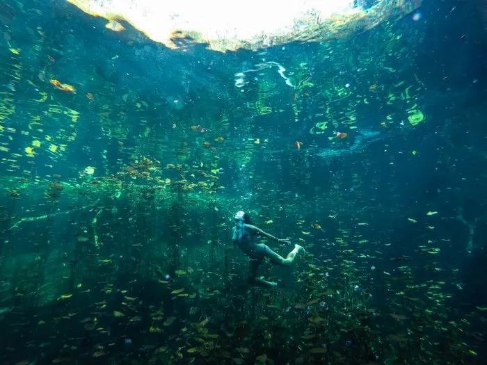 Buceadora rodeada de peces en un entorno acuático claro y vibrante.