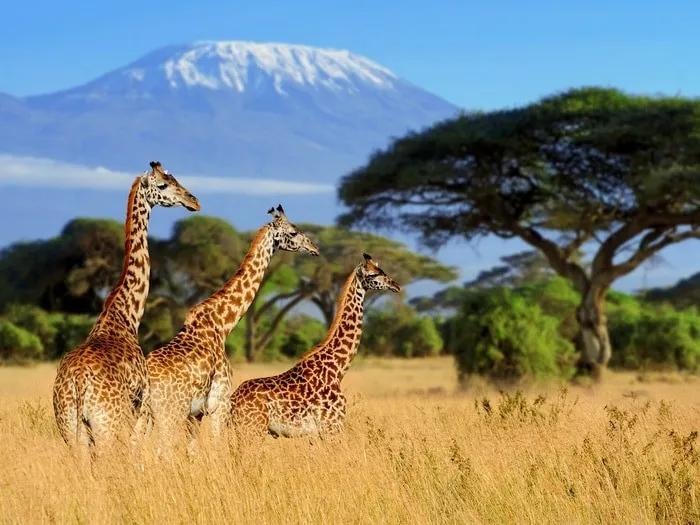 Itinerario por Tanzania