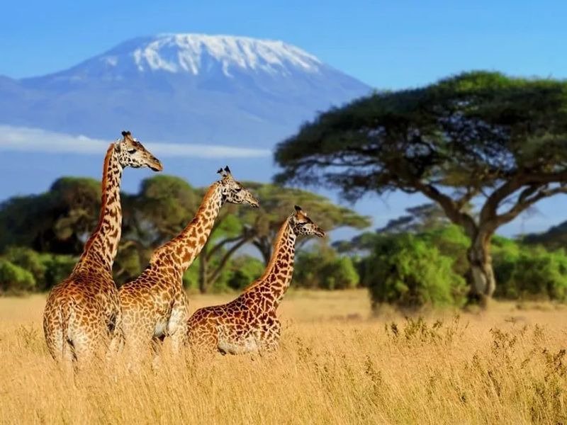 Itinerario de viaje a Tanzania en 12 días