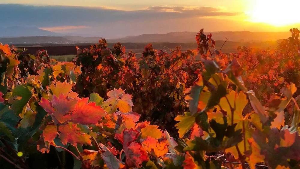 mejor época para La Rioja