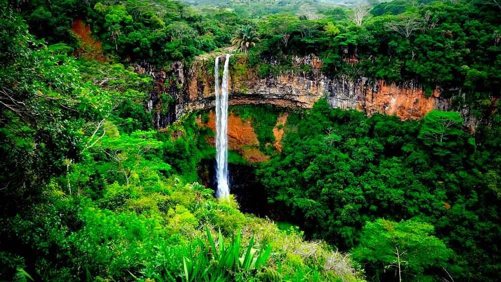 póliza internacional para Mauritius