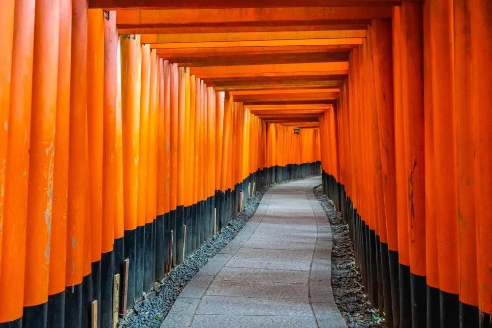 Fushimi Inari y Nara desde Kioto