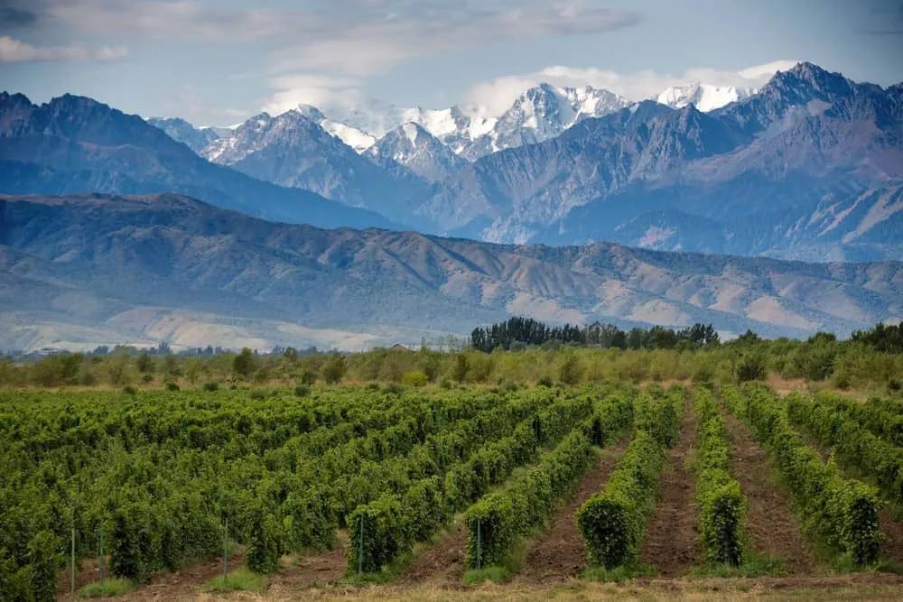 visitar Mendoza en Argentina