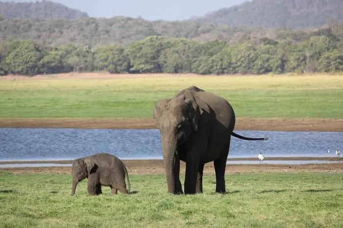 mochileros_sri_lanka