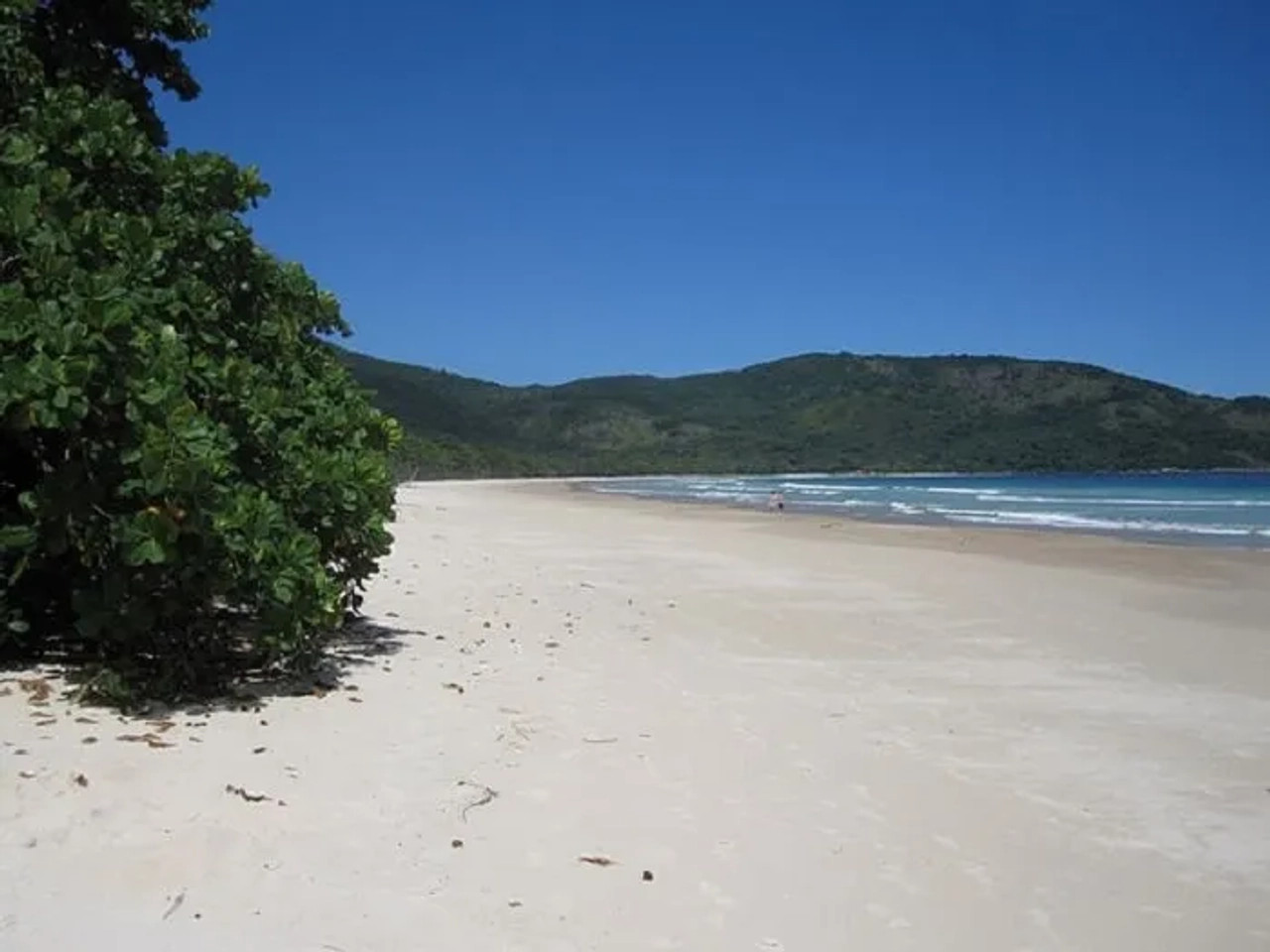 lopes-mendes
