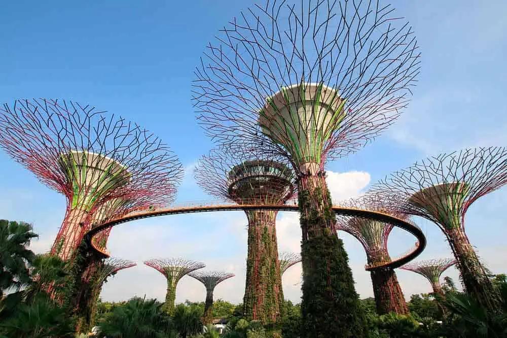 asistencia sanitaria en Singapur