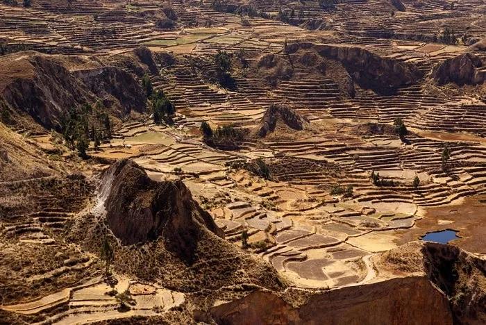 Cañon del Colca