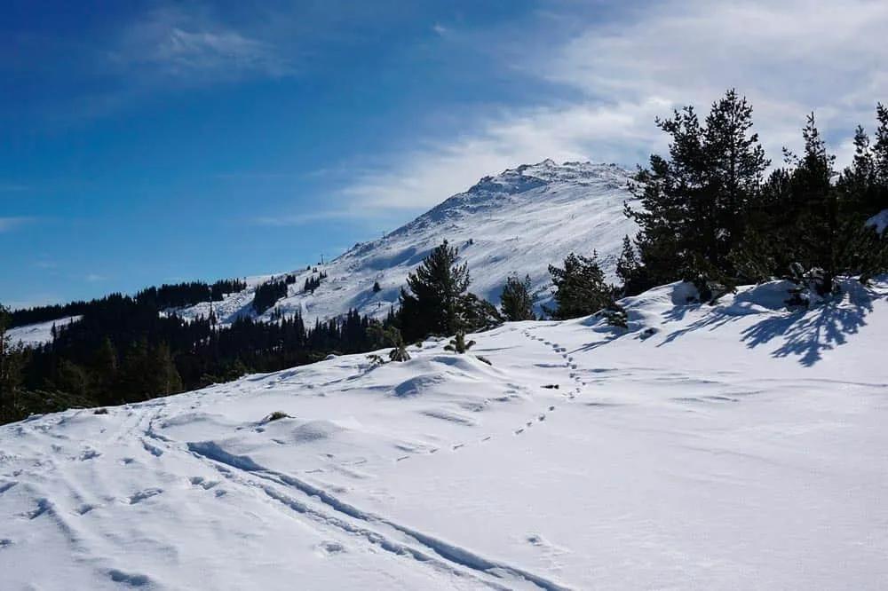 nieve en Vitosha