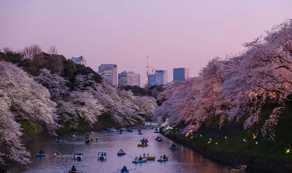 mejores época en Japón para viajar por libre