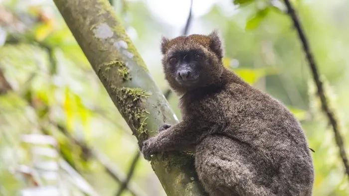 ruta Madagascar
