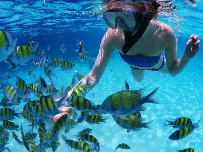 feeding a peces